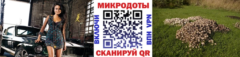 Псилоцибиновые грибы ЛСД  Кочубеевское 